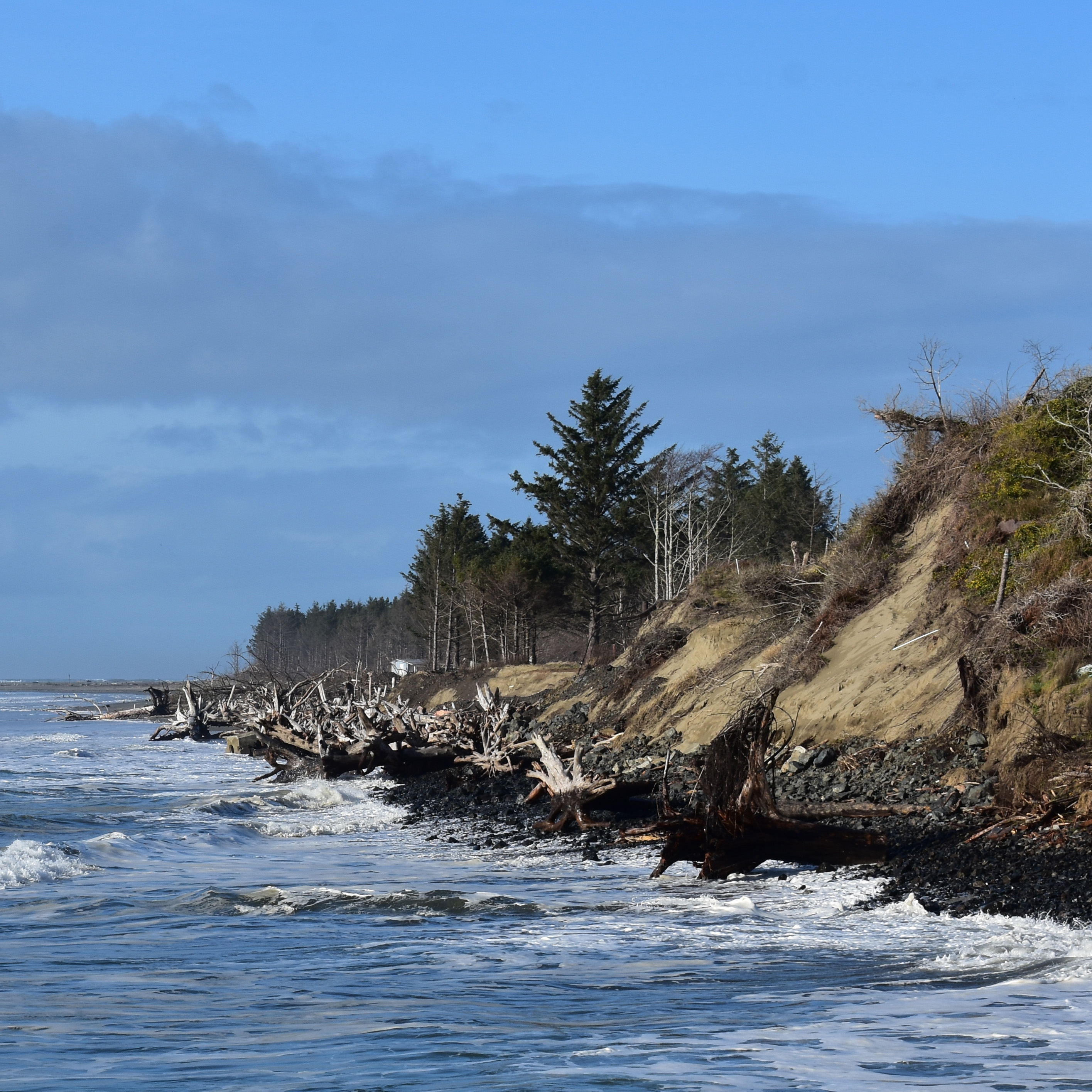 DSC 0071 Cropped Washington Coastal Hazards Resilience Network   DSC 0071 Cropped 